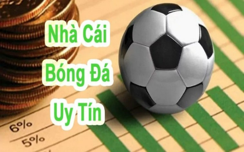 N666 - Top nhà cái uy tín nhất Đông Nam Á